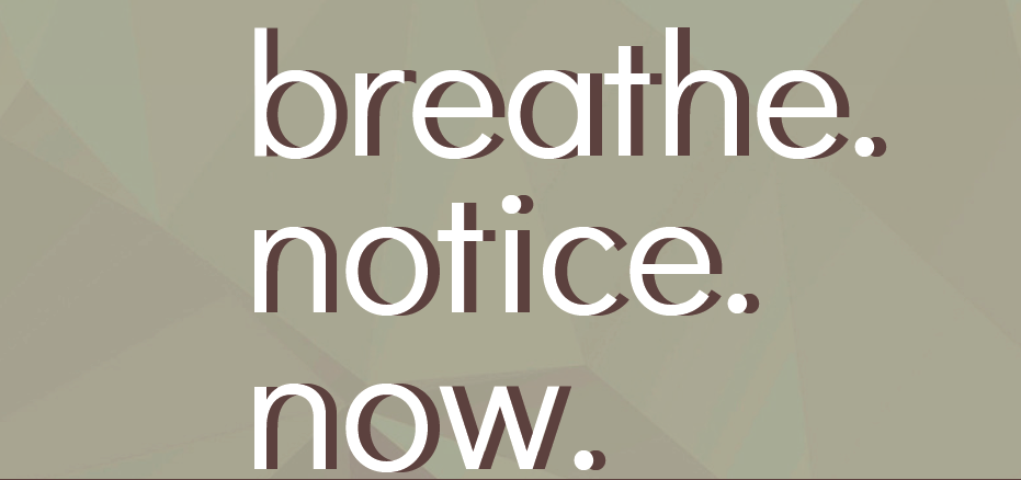 Breathe. Notice. Now. (March-April 2022)